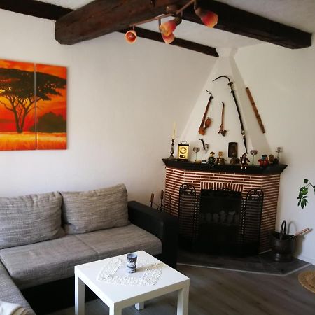 Ferienwohnung Am Finkenherd Dankerode  外观 照片