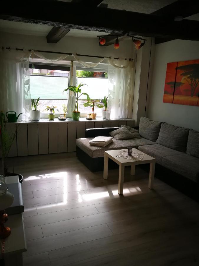 Ferienwohnung Am Finkenherd Dankerode  外观 照片